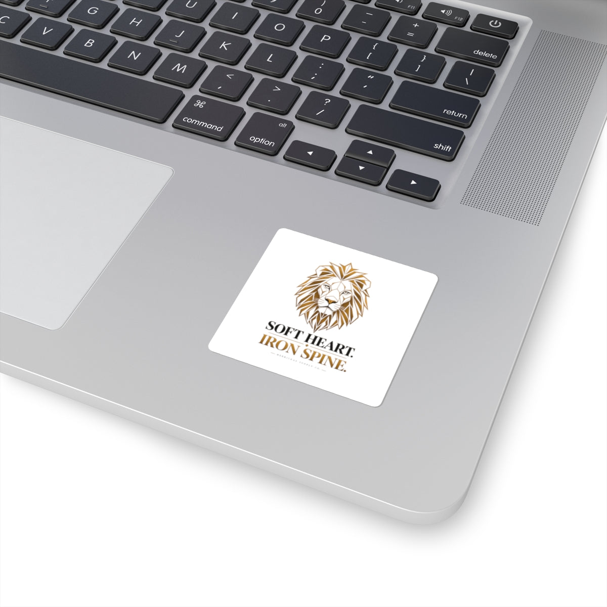 Soft Heart Iron Spine Sticker